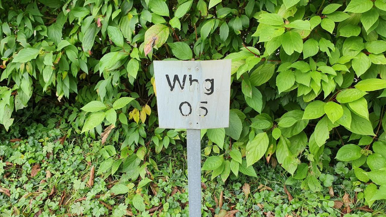 Ferienwohnung Fuer 5 Personen In Wasserburg Eksteriør billede
